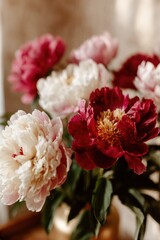 Close-up view of a bouquet of peonies in various colors.