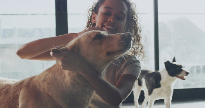 Happy woman, dog or volunteer with pet for animal shelter, welfare or NGO charity in home. Female person, petcare or rescue with smile, canine or breed for doggy adoption, love or security in house