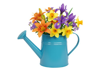 Colorful Flower Arrangement in a Bright Blue Watering Can with a Black Background