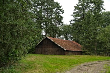 A working barn or forest shed for forestry, made with walls of pine trunks