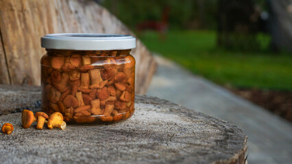 Homemade pickled chanterelle mushrooms in a glass jar. Preserving methods of forest harvest like...