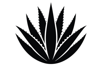 aloe vera vector icon