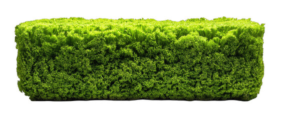 Lush green, textured block