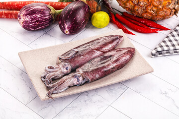 Raw fresh squid for cooking