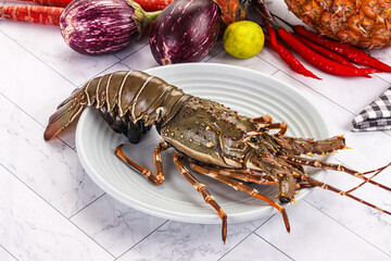 Raw wild fresh spiny lobster