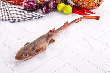 Raw indian catshark for cooking