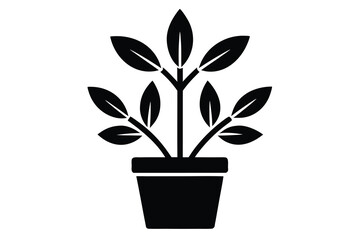 garden plant vector icon