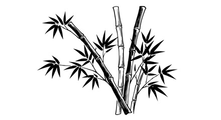 Elegant bamboo stalks with lush leaves create a tranquil, natural zen garden vibe for your designs