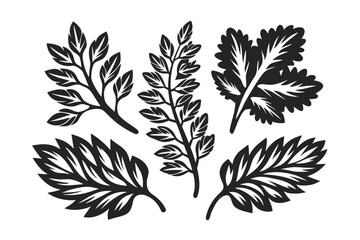 Five Black Leaf Silhouettes Stylized Design on White Backdrop Isolated Elements