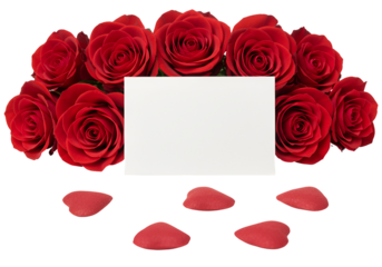 Elegant arrangement of vibrant red roses with rose petals and blank card for greeting or message