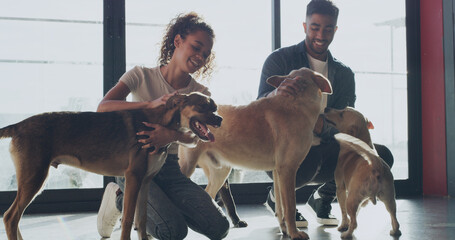 Happy, adoption center and couple with dogs for bonding, companion and care at sanctuary. Animal...