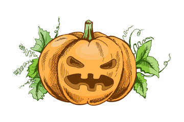 Hand drawn vintage sketch of scary jack o lantern halloween pumpkin with green leaves isolated on white background