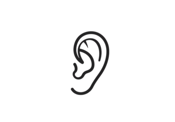 Detailed Ear Anatomy A Visual Representation of Hearing isolated on transparent background