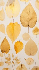 Obraz premium Real pressed gold autumn leaves backgrounds texture plant.