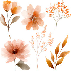 Set of Watercolor Botanical Elements with Orange Flowers and Leaves