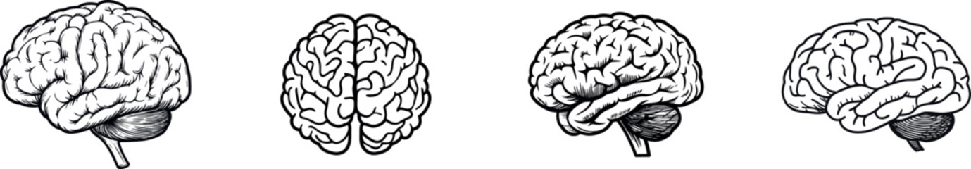 The illustration features a single-line drawing of the human brain positioned on a white background with no other elements