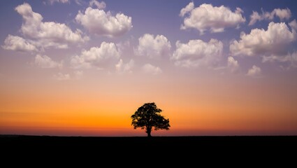 Obraz premium Serene Sunset Silhouette: Lone Tree in Peaceful Orange and Purple Sky