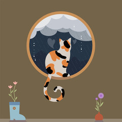 cat and rain