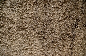 모래 비율이 높은 콘크리트 질감