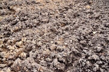 모래 비율이 높은 콘크리트 질감