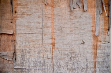 Naklejka premium 오래되어 갈라진 합판