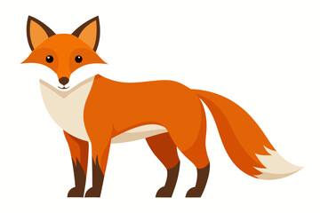 Obraz premium beautiful fox