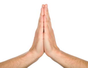 Praying Hands Together Palms Touching Fingers Pointing Upwards isolated on transparent background. PNG die-cut for advertising