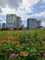 City of Seoul, South Korea