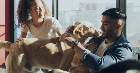 Dogs, adoption center and couple with choice for bonding, companion and best friend. Animal...