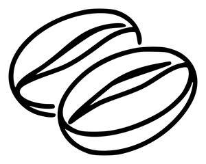 Coffee beans on transparent background. Vector coffee with details and realistic drawing