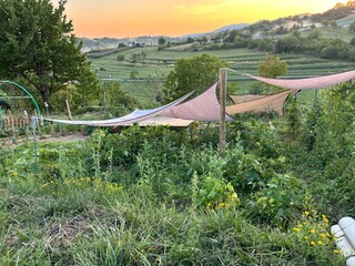 Organic garden, vegetarian food, healthy and delicious, vegetable growing.