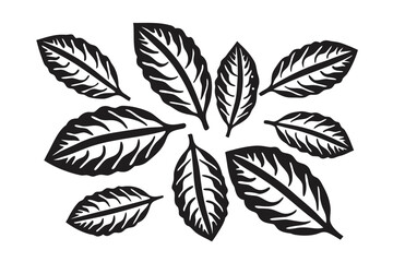 Silhouette Leaves Branches Set on White Background Nature Elements Design