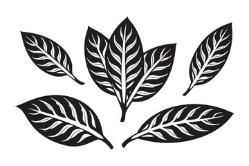 Leafy Sprigs Design, Hand Drawn Branches and Leaves, Floral Elements, White Background