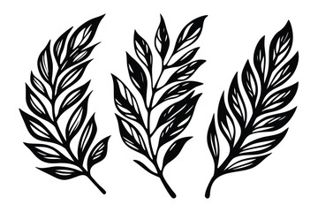 Three Isolated Black Leaf Branches, Foliage Outline on White Background, Leaflets