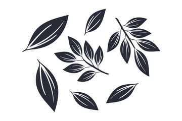 Stylized Leaf Motifs, Black Floral Elements on White Background, Elegant Design