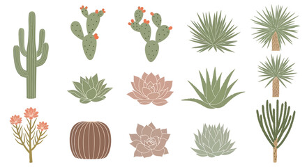 A diverse collection of illustrated desert plants, including saguaro, prickly pear cacti, succulents, and yucca in a muted color palette.