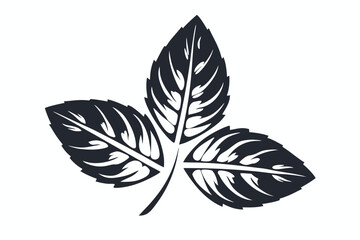Leafy Dark Isolated Black Foliage, Botanical Style on White