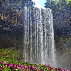 Waterfall Amid Pink Flower Field, nature,, scenic view, wildflowers, tropical, mist, lush greenery
