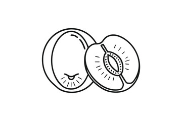Stylized Line Art Peach Drawing, Outline of Fruit and Cross Section on White Background