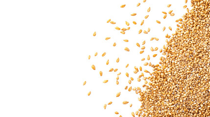 Natural sesame scatter with raw and roasted seeds in random arrangement isolated on white background
