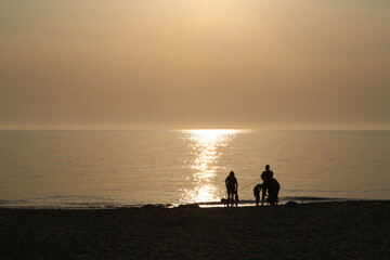 sunset on the beach