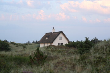 traditional danish cottage