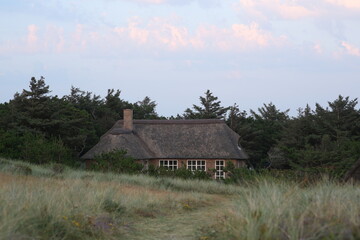 traditional danish cottage
