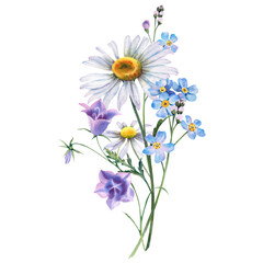 Fototapeta premium Bouquet of wildflowers: chamomile, tansy, bluebells and forget-me-not. Hand-painted watercolor botanical illustration. A set of watercolors flowers on an isolated background.
