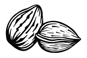 Two Almonds with Detailed Grooves Style on White Background Close Up