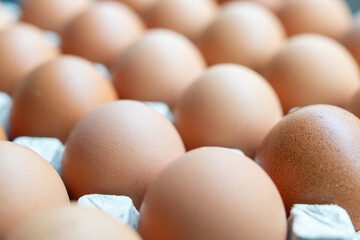 Fresh organic brown chicken eggs in cardboard tray