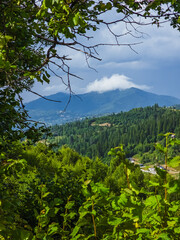 A breathtaking view of a lush green forest and a misty mountain peak, framed by vibrant foliage, perfect for nature-inspired designs and outdoor advertising.