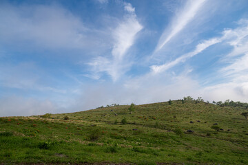 Obraz premium 爽やかな夏の高原 霧ヶ峰