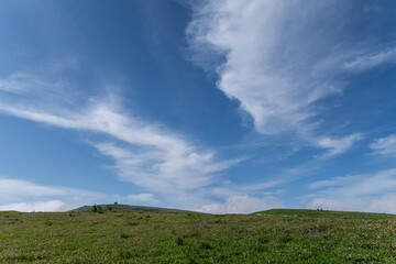 爽やかな夏の高原　霧ヶ峰