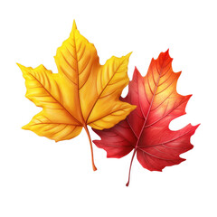 Two autumn leaves yellow and red color